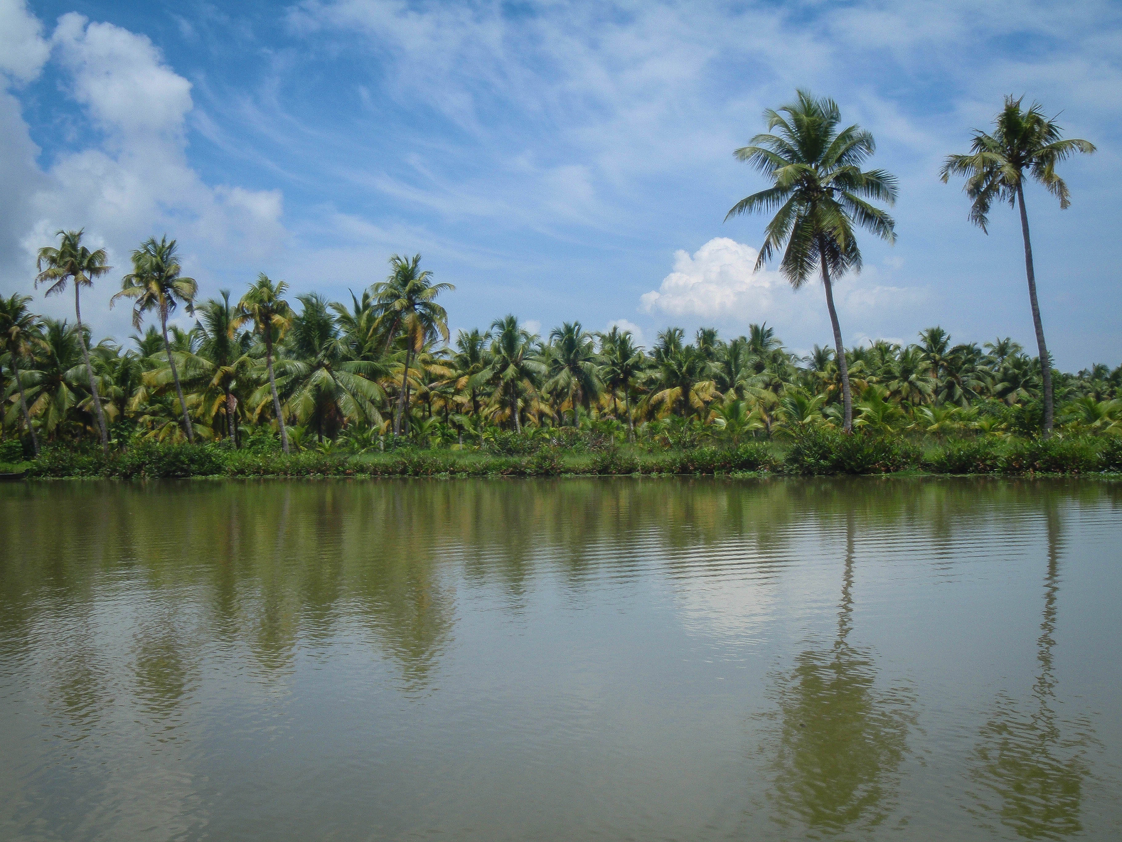 Som en tavla, Keralas vattenvägar   